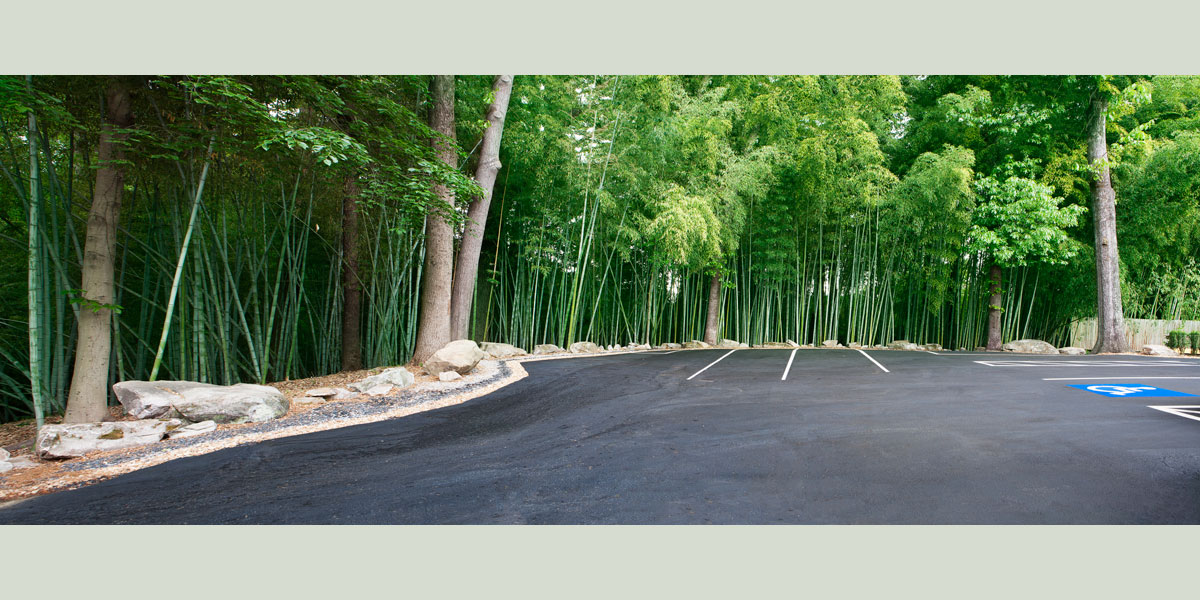 sage accent bamboo garden